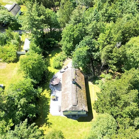 Ferienhaus 10167-ulfborg-havbjerge-15 *