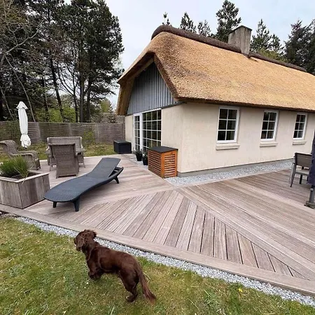 Hébergement de vacances 10167-ulfborg-havbjerge-15 Ulfborg