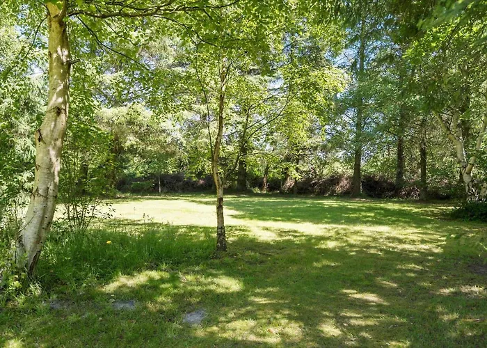 10167-ulfborg-havbjerge-15 * Ulfborg